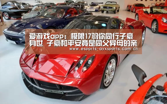 爱游戏app:极限17羽你同行子豪身世 子豪和平安竟是同父异母的亲兄弟(图4) 爱游戏app