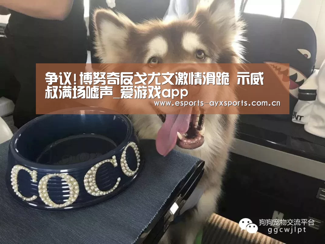 爱游戏棋牌